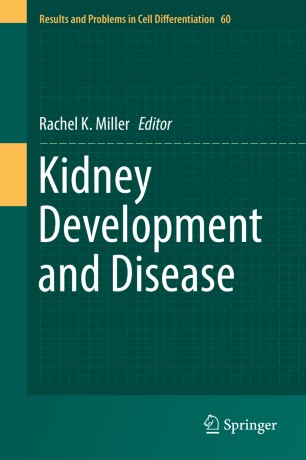 Kidney Development And Disease Springerlink
