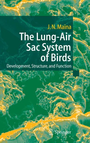The Lung Air Sac System Of Birds Springerlink