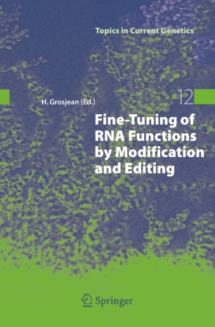 Long RNA Transcription Synthesis Services
