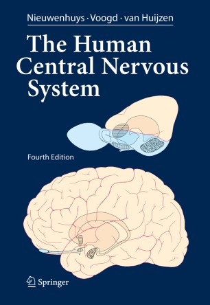 Picture Of Nervus System - Peripheral Nervous System Ck 12 Foundation - Functionally, the nervous system has two main subdivisions: