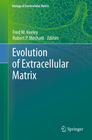 Evolution Of Extracellular Matrix Springerlink