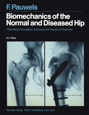 Biomechanics Of The Normal And Diseased Hip Springerlink - 