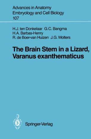 The Brain Stem In A Lizard Varanus Exanthematicus Springerlink