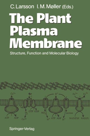 The Plant Plasma Membrane | SpringerLink