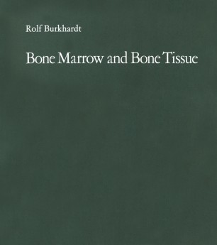 Download Bone Marrow And Bone Tissue Springerlink