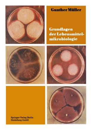 pdf nanotechnology and human