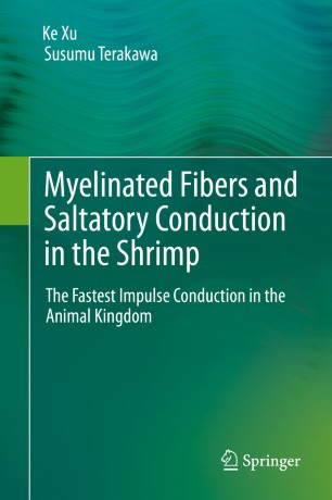 Myelinated Fibers And Saltatory Conduction In The Shrimp Springerlink
