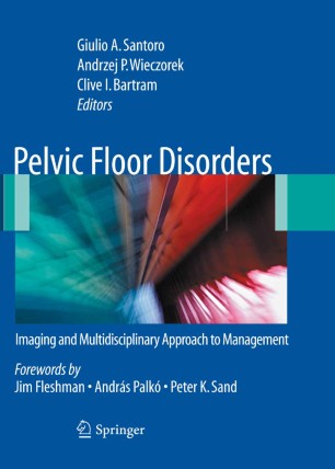 Pelvic Floor Disorders Springerlink