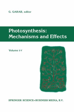 Photosynthesis Mechanisms And Effects Springerlink