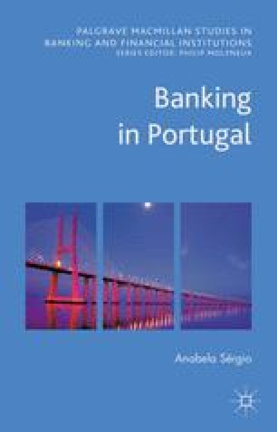 Risk Management In Portuguese Financial Institutions