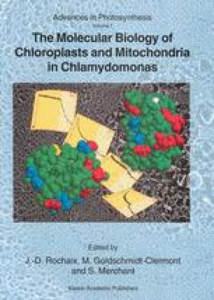 Pigment Biosynthesis Chlorophylls Heme And Carotenoids