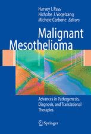 mesothelioma in vivo