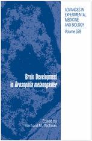 The Olfactory Sensory Map In Drosophila Springerlink