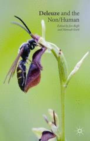 Introduction Deleuze And The Non Human Springerlink