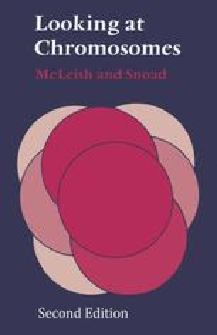 Mitosis and Development | SpringerLink