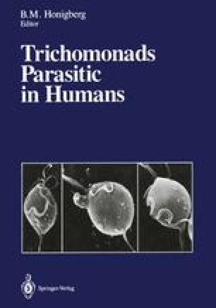 Trichomoniázis tünetei és kezelése Trichomonas és kiütés