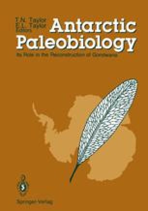 Gondwanan Paleogeography and Paleoclimatology | SpringerLink