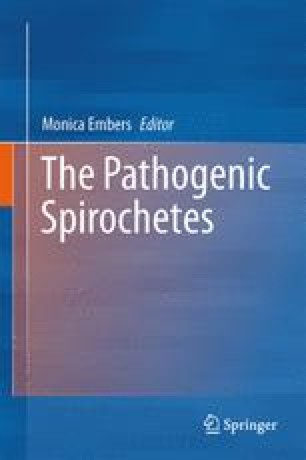 Leptospira Invasion Pathogenesis And Persistence