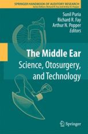 Surgical Reconstruction And Passive Prostheses Springerlink