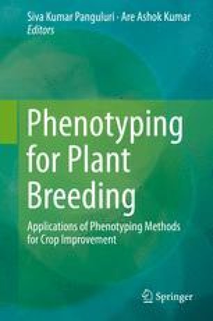 Phenotyping Rice for Molecular Plant Breeding | SpringerLink