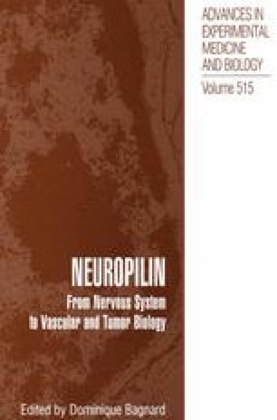 Neuropilins As Semaphorin Receptors Springerlink