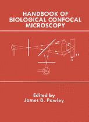 Intermediate Optics In Nipkow Disk Microscopes Springerlink