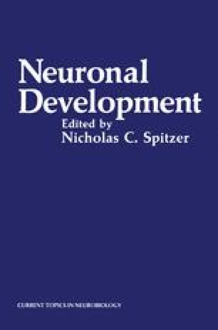 Origins of the Nervous System in Amphibians | SpringerLink