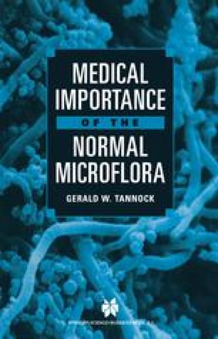 candida stellatoidea pdf candida stellatoidea pdf