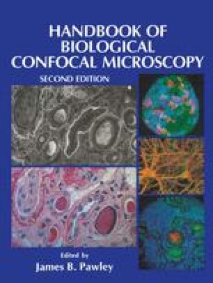 Intermediate Optics In Nipkow Disk Microscopes Springerlink