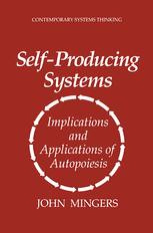Autopoietic Organizations and Social Systems | SpringerLink
