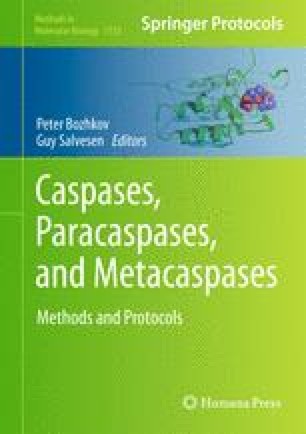 Global Identification Of Caspase Substrates Using Protomap