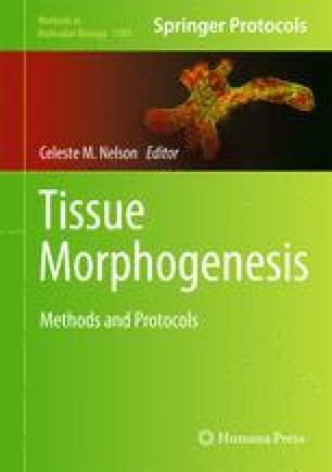 A Multiplex Fluorescent In Situ Hybridization Protocol For