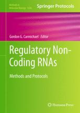 Rna Fluorescence In Situ Hybridization In Cultured