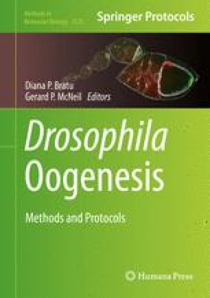 Drosophila Melanogaster Oogenesis An Overview Springerlink