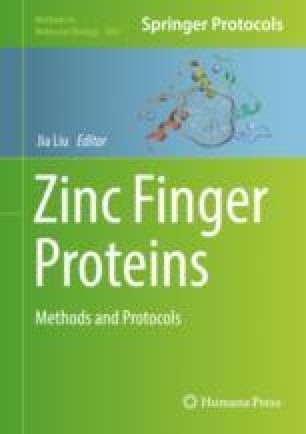 Stereotaxic Surgery And Viral Delivery Of Zinc Finger