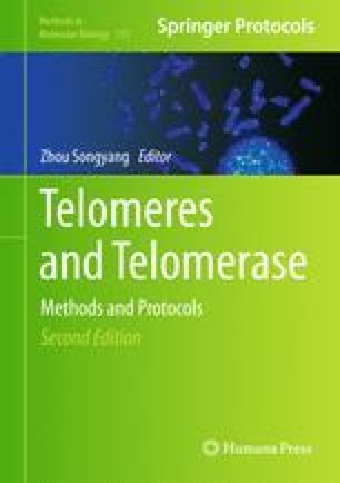 Telomere Length Analysis By Quantitative Fluorescent In