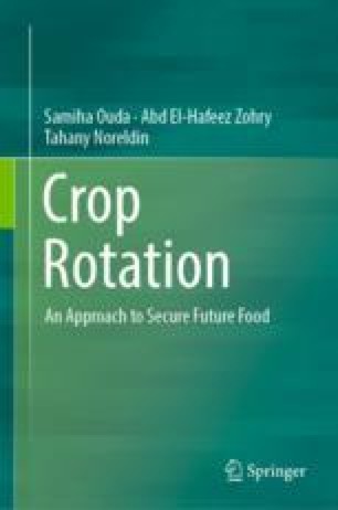 Crop Rotation Maintains Soil Sustainability | SpringerLink