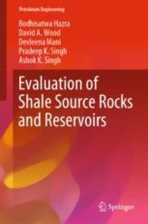 literature review on source rock evaluation