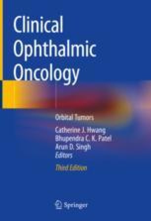 Optic Nerve Sheath Fenestration and Optic Nerve Biopsy | SpringerLink