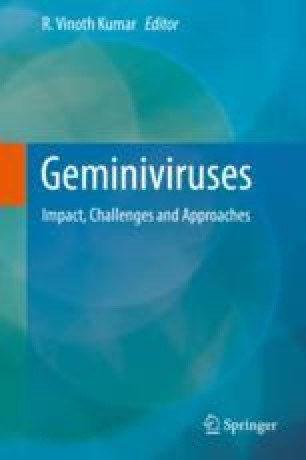 Integrated Pest Management Approaches | SpringerLink