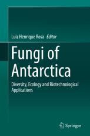 Genomics of Antarctic Fungi: A New Frontier | SpringerLink