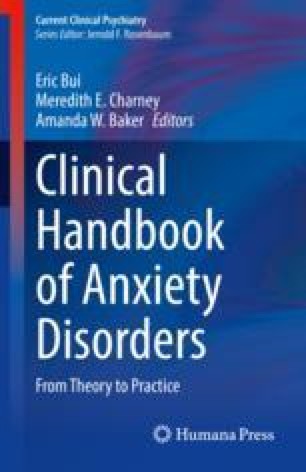 Understanding and Treating Anxiety Disorders: A Psychodynamic Approach ...