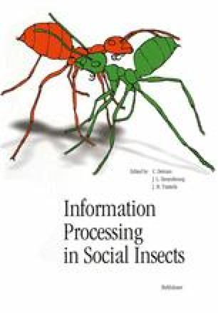 Decision Making In Foraging By Social Insects Springerlink
