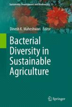 The Importance And Application Of Bacterial Diversity In