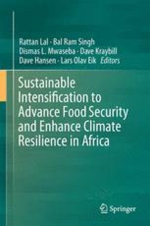 sustainable intensification springer africa enhance resilience advance climate security fertilizer nmbu