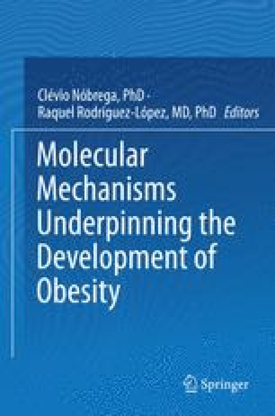 Epigenetics Of Human Obesity A Link Between Genetics And