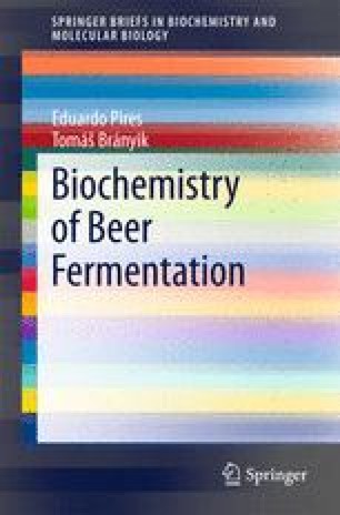 By Products Of Beer Fermentation Springerlink