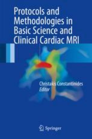 Mr Flow And Quantification Springerlink