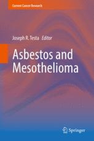 the root word of mesothelioma