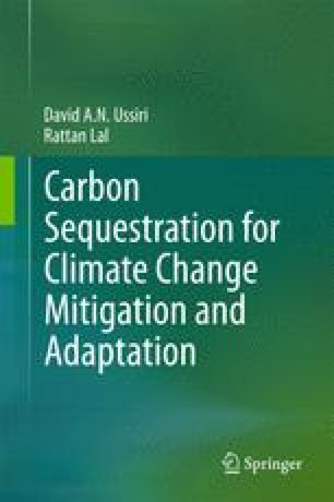 carbon sequestration rate carbon sequestration rate